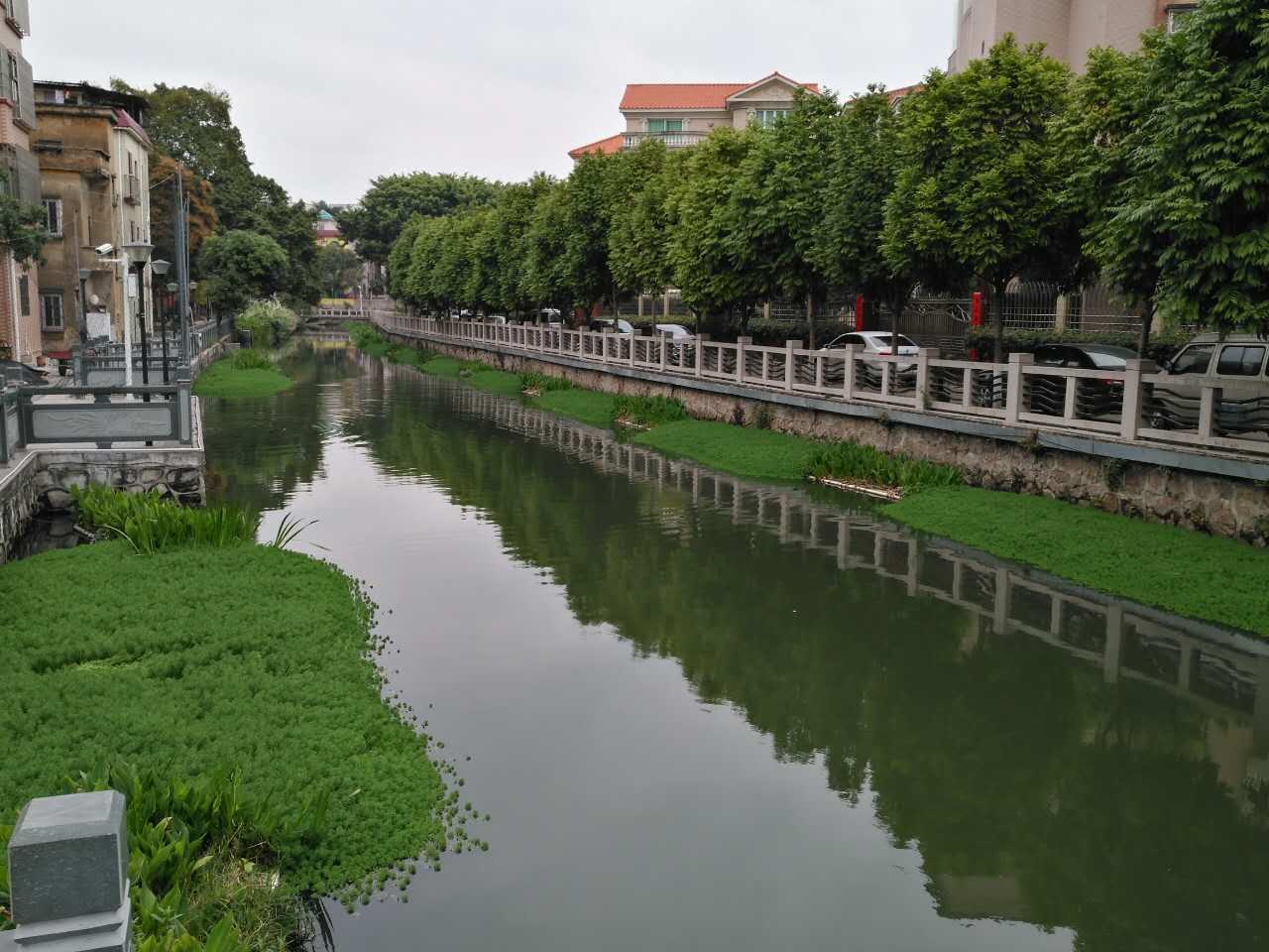 案例展示